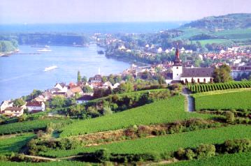 Rhein und Reben Nierstein
